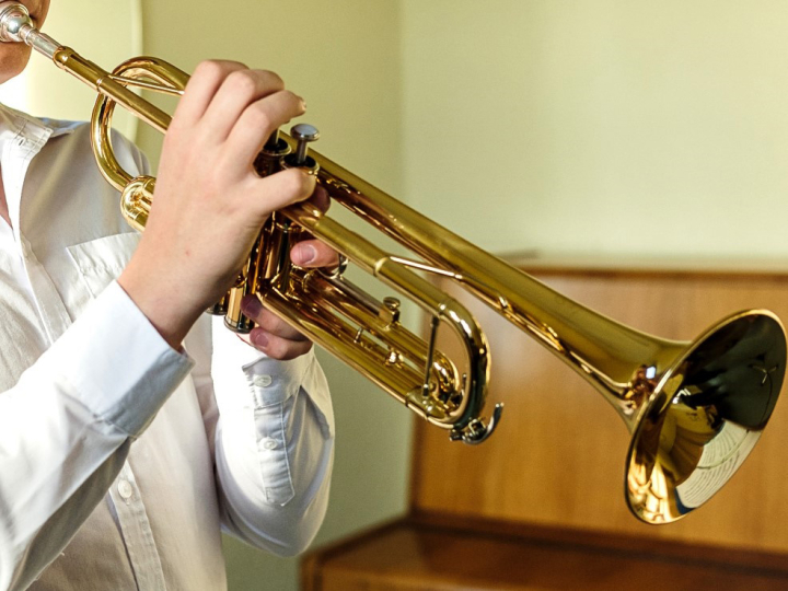 Musikschule Landkreis Meißen (Ilka Meffert)