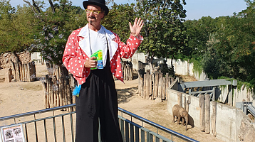 Stelzenmann Stelzenmann